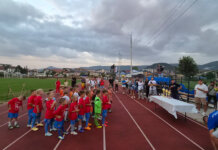 Одржан 19. „Пикси – Романија куп 2026“ у Палама